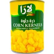 LARA Sweet Corn (400GR*24PC)
