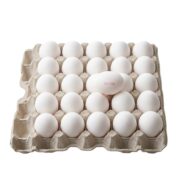 BADIL Large white eggs (30 Pc×8 Box)